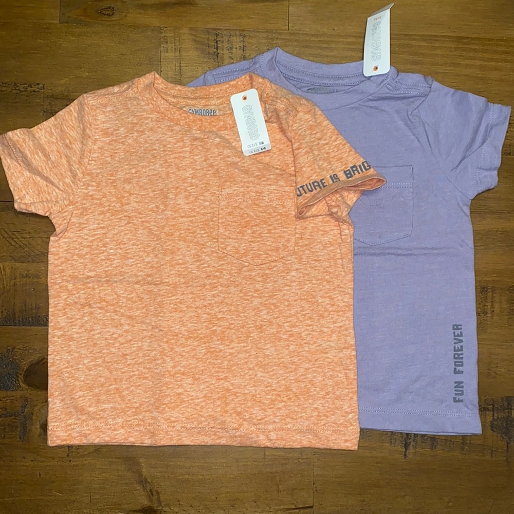 GYMBOREE (2 T Shirts) - Picture 1 of 6